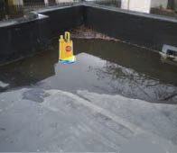 1678692006072 1678692006072