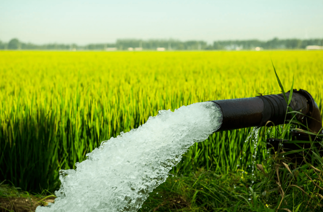How to Use a Submersible Pump for River Water Transfer in Agricultural and Landscape Irrigation