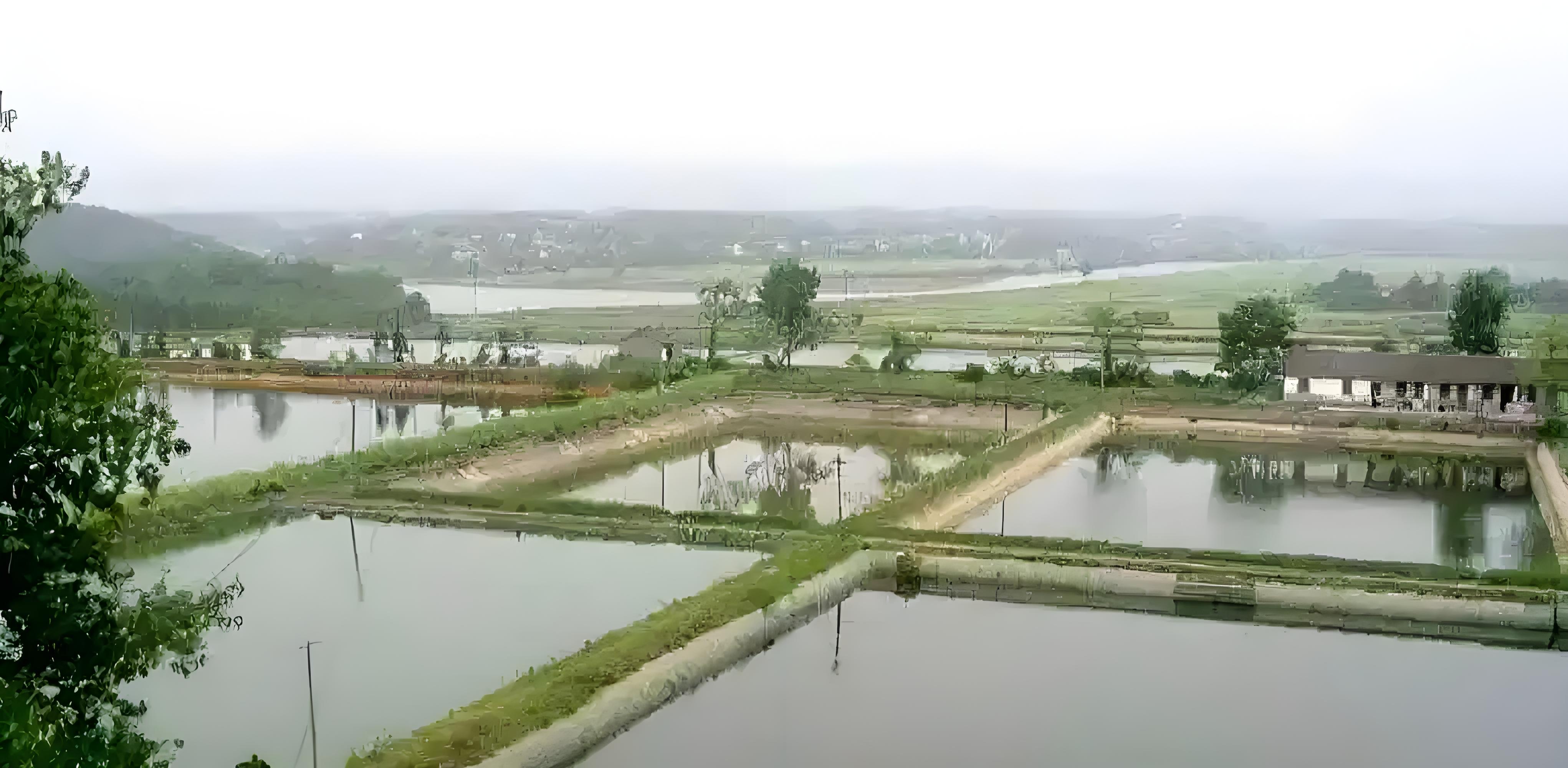 0a28f256-7795-4b1f-8039-609e78f7ed8b