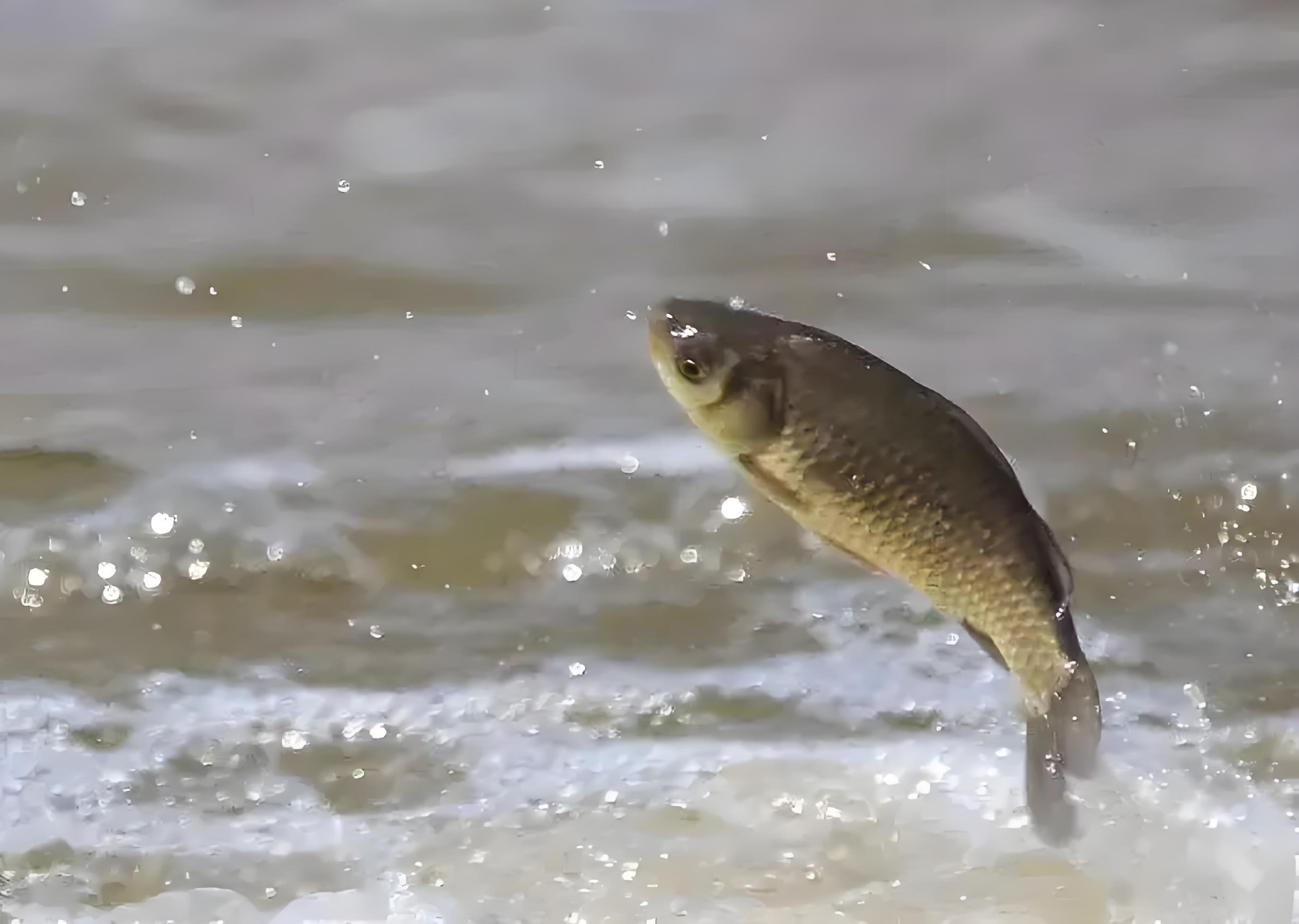 6e1a1cff-2a9d-40e1-a665-159b9d0df232