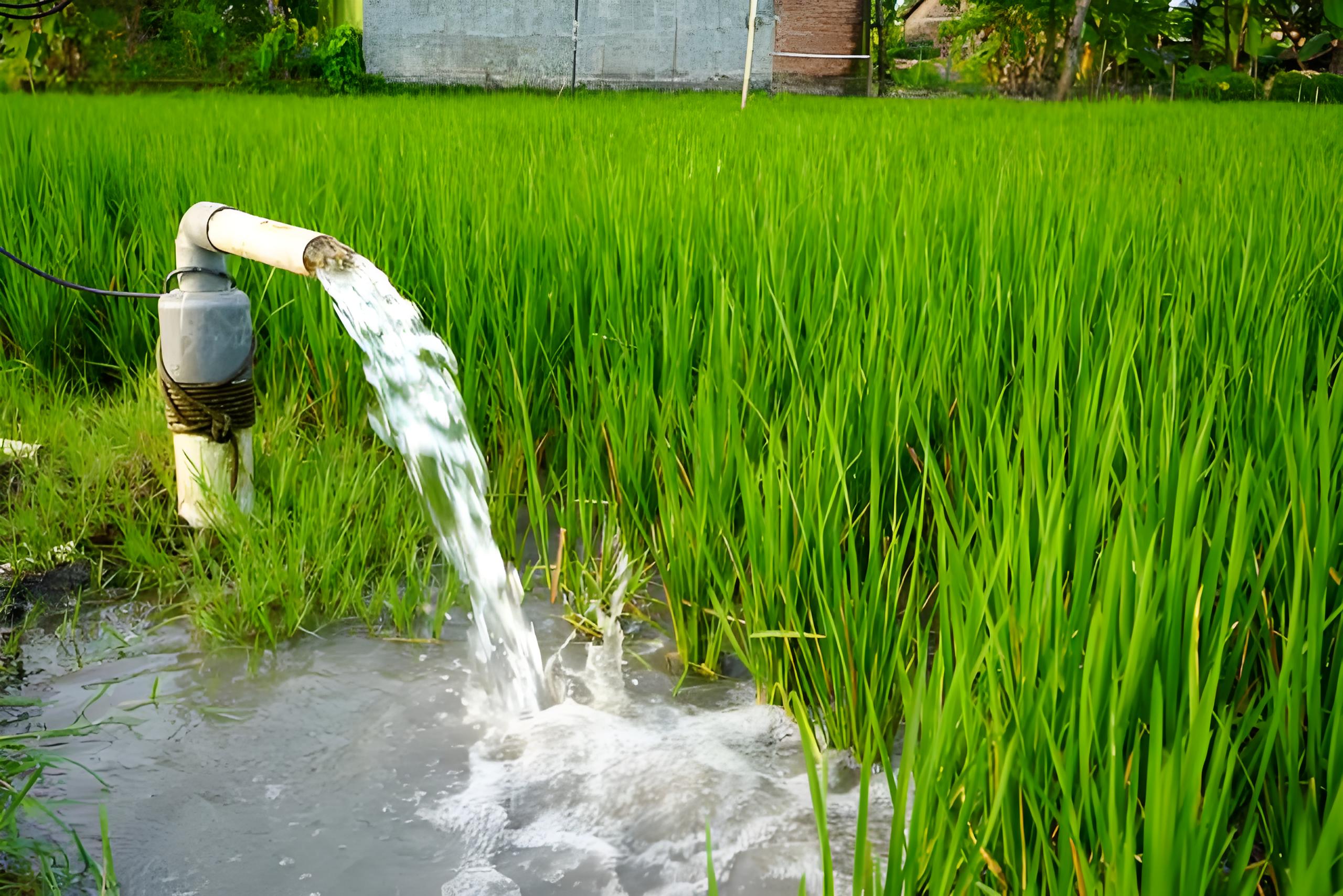 How To Select A Suitable Submersible Pump for River Water Transfer in Agricultural And Landscape Irrigation