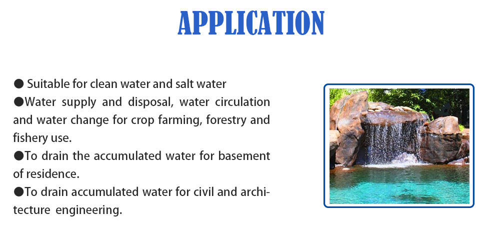 Garden Ponds and Fish Farms Salt Water Circulation Small Electric Automatic Stainless Steel Submersible Centrifugal Pump